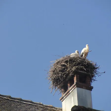 Au Calme Avec 2 Chambres, Terrasse, Jardin, Bbq Et Parking Inclus A - Fr-1-744-42 Breitenbach-Haut-Rhin