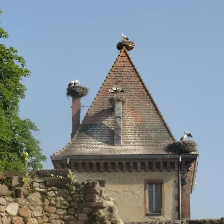 Au Calme Avec 2 Chambres, Terrasse, Jardin, Bbq Et Parking Inclus A - Fr-1-744-42 شقة Breitenbach-Haut-Rhin