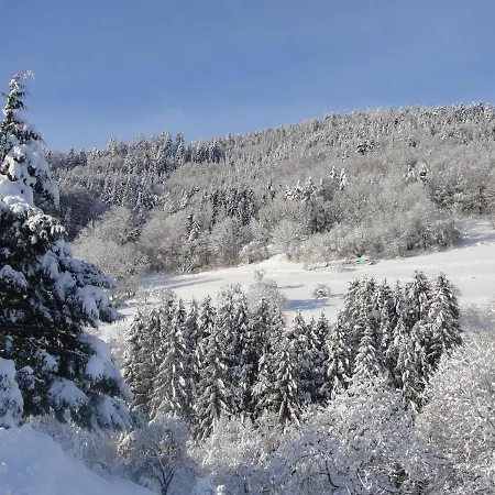 Holiday home Au Calme Avec 2 Chambres, Terrasse, Jardin, Bbq Et Parking Inclus A - Fr-1-744-42 Breitenbach-Haut-Rhin