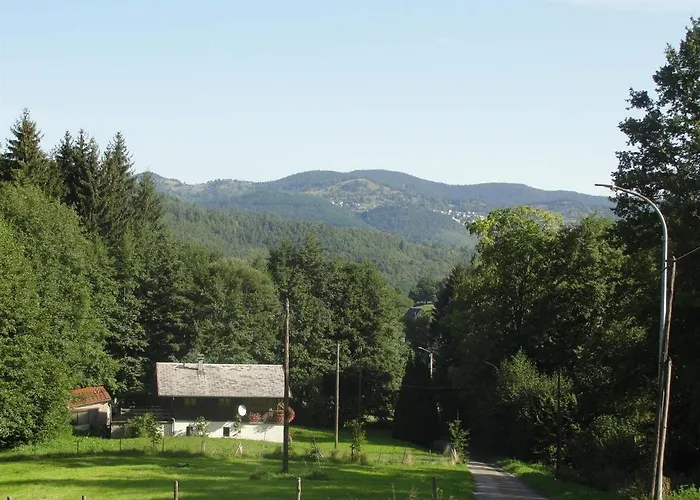 شقة Au Calme Avec 2 Chambres, Terrasse, Jardin, Bbq Et Parking Inclus A - Fr-1-744-42 Breitenbach-Haut-Rhin
