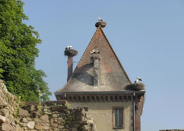 Au Calme Avec 2 Chambres, Terrasse, Jardin, Bbq Et Parking Inclus A - Fr-1-744-42 شقة Breitenbach-Haut-Rhin