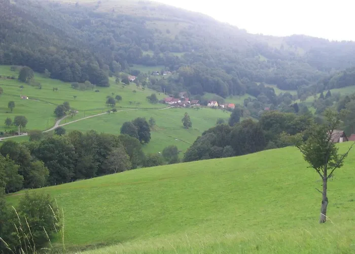Au Calme Avec 2 Chambres, Terrasse, Jardin, Bbq Et Parking Inclus A - Fr-1-744-42 * Breitenbach-Haut-Rhin
